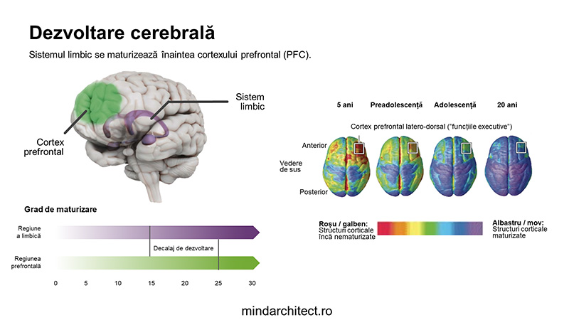 masterclass-brain-basics-2