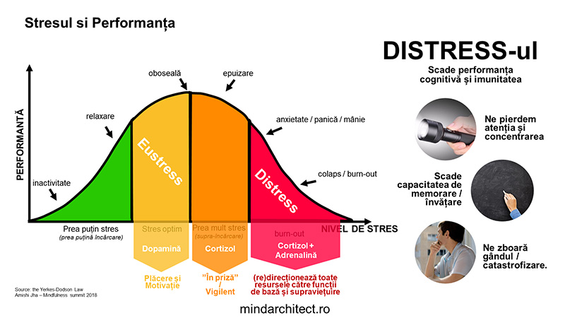 masterclass-performanta-cognitiva-1