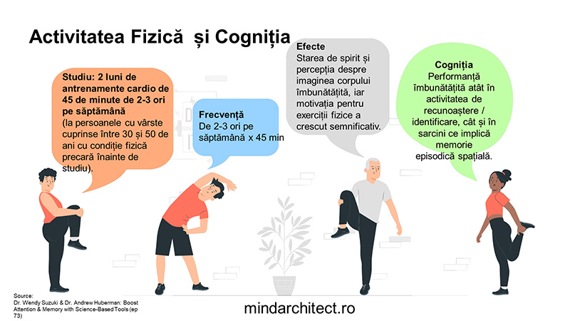 masterclass-performanta-cognitiva-3