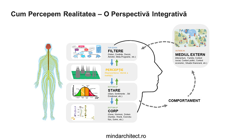 neurostiinta-comunicarii-3