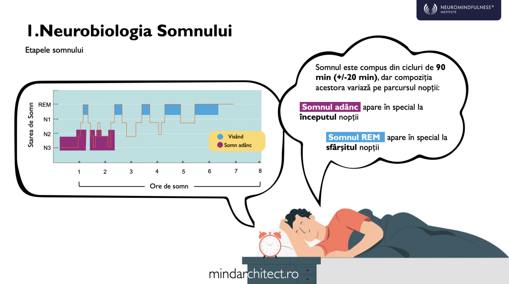 somn 1
