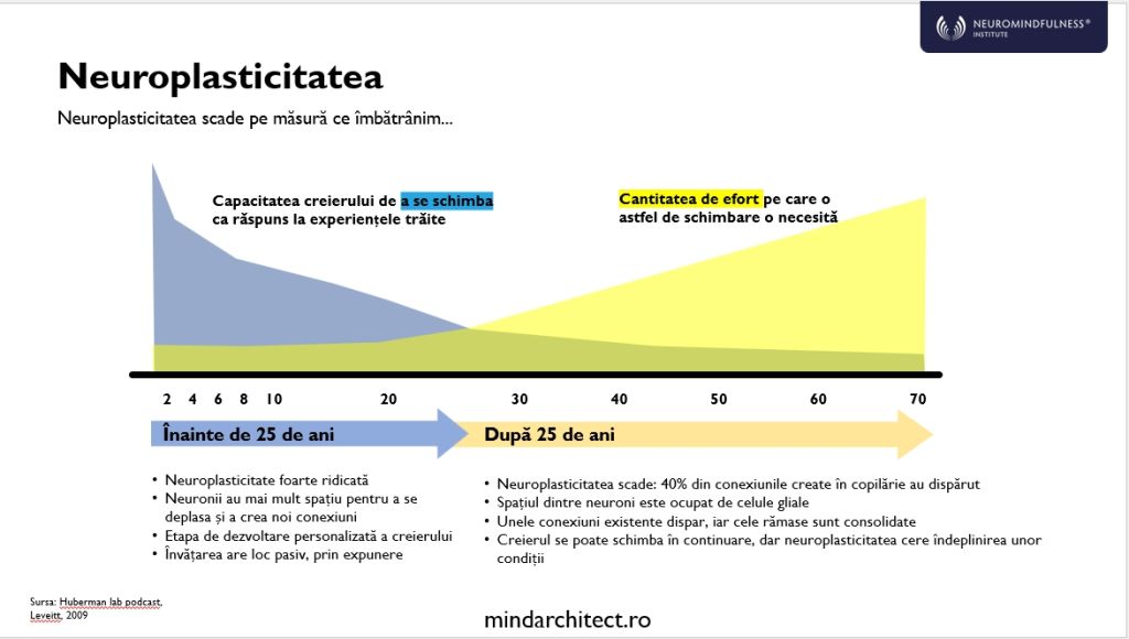 transformare 1